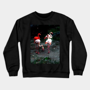 Pink and red flamingos Crewneck Sweatshirt